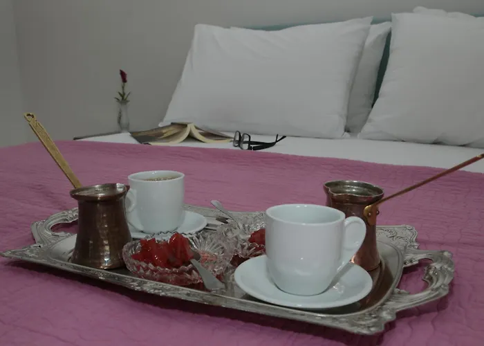 Elena's Summer House *